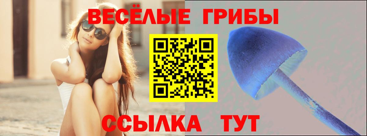 Конаково  Галлюциногенные грибы MAGIC MUSHROOMS  даркнет сайт  Вход с VPN 