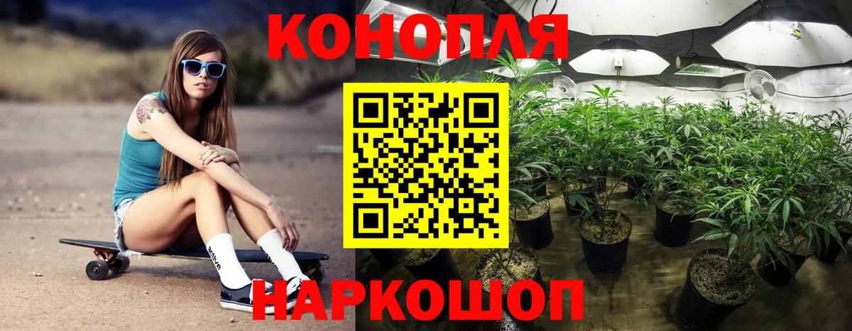 Бошки марихуана сатива Конаково